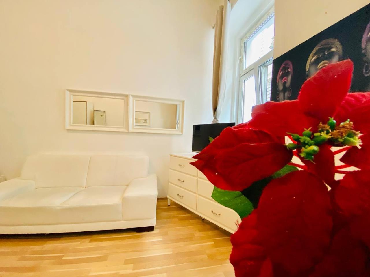 Cozy Studio Lg Viena Exterior foto